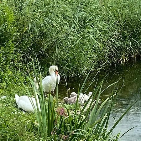 Entzueckende Traumwohnung - Nur 5min Vom Europa-park! Apartment Rheinhausen